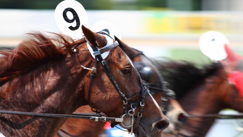 ブックメーカー　競馬