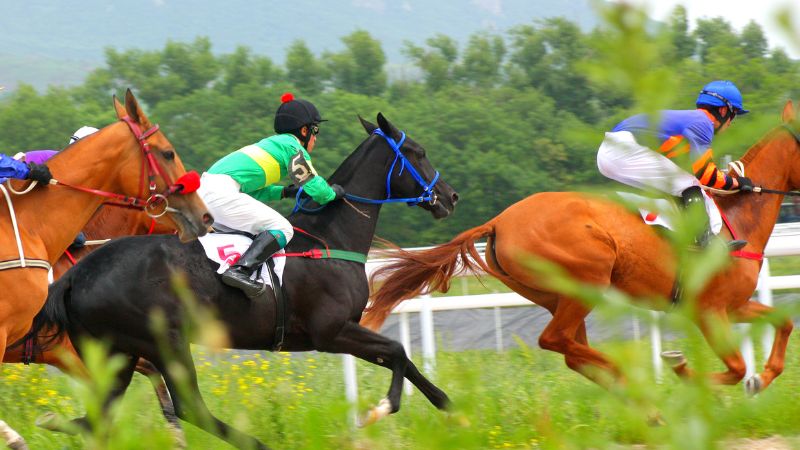 競馬　ベッティング